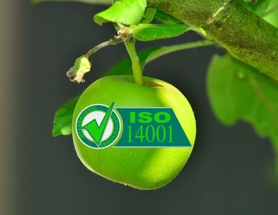 We got it! The ISO14001 certificate is ours!